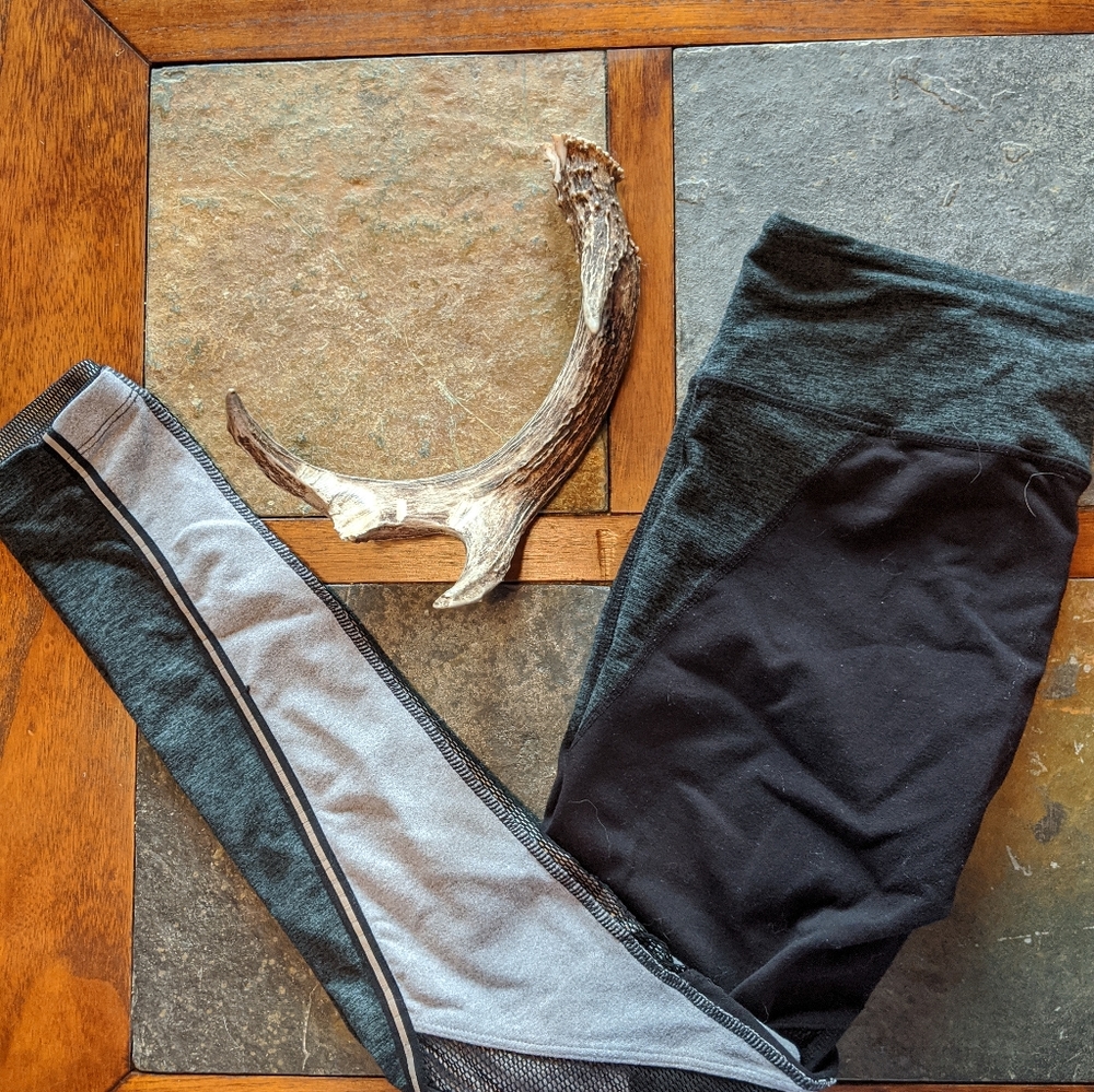 Splits59 Luxury Small Mesh Panel Workout Leggings